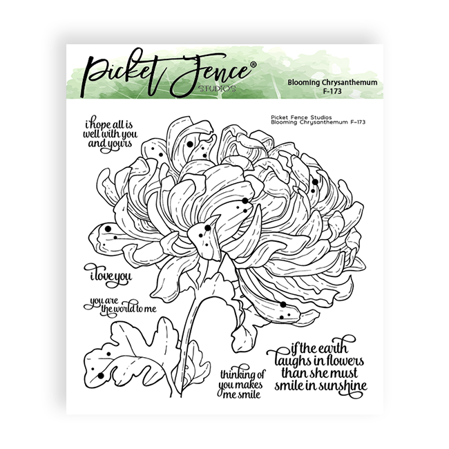 Blooming Chrysanthemum - Picket Fence Studios