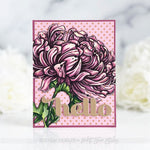 Blooming Chrysanthemum - Picket Fence Studios