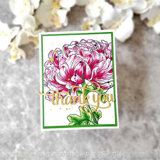 Blooming Chrysanthemum - Picket Fence Studios