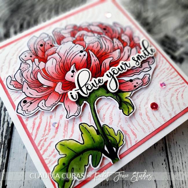 Blooming Chrysanthemum - Picket Fence Studios