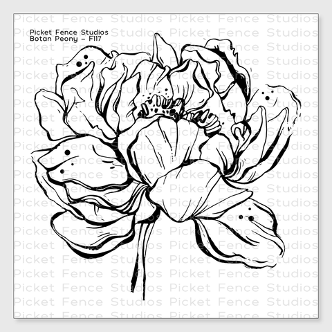 Botan Peony - Picket Fence Studios