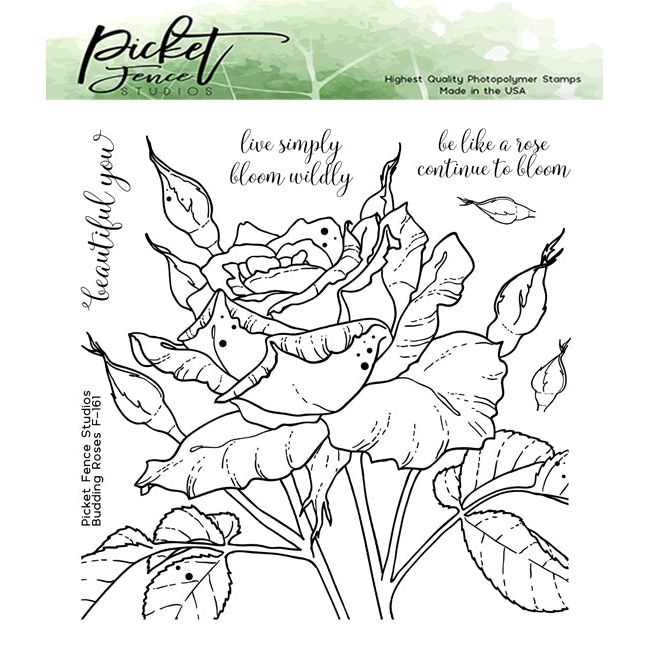 Budding Roses - Picket Fence Studios