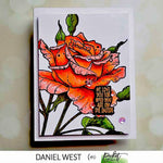 Budding Roses - Picket Fence Studios