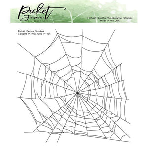 Caught in my Web - Picket Fence Studios