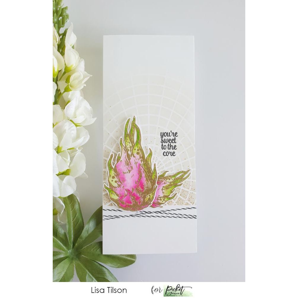 Dragon Fruit - Picket Fence Studios