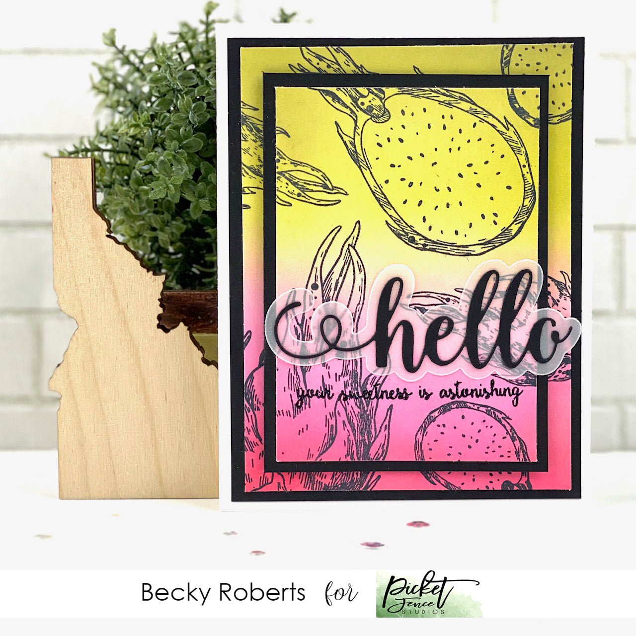 Dragon Fruit - Picket Fence Studios