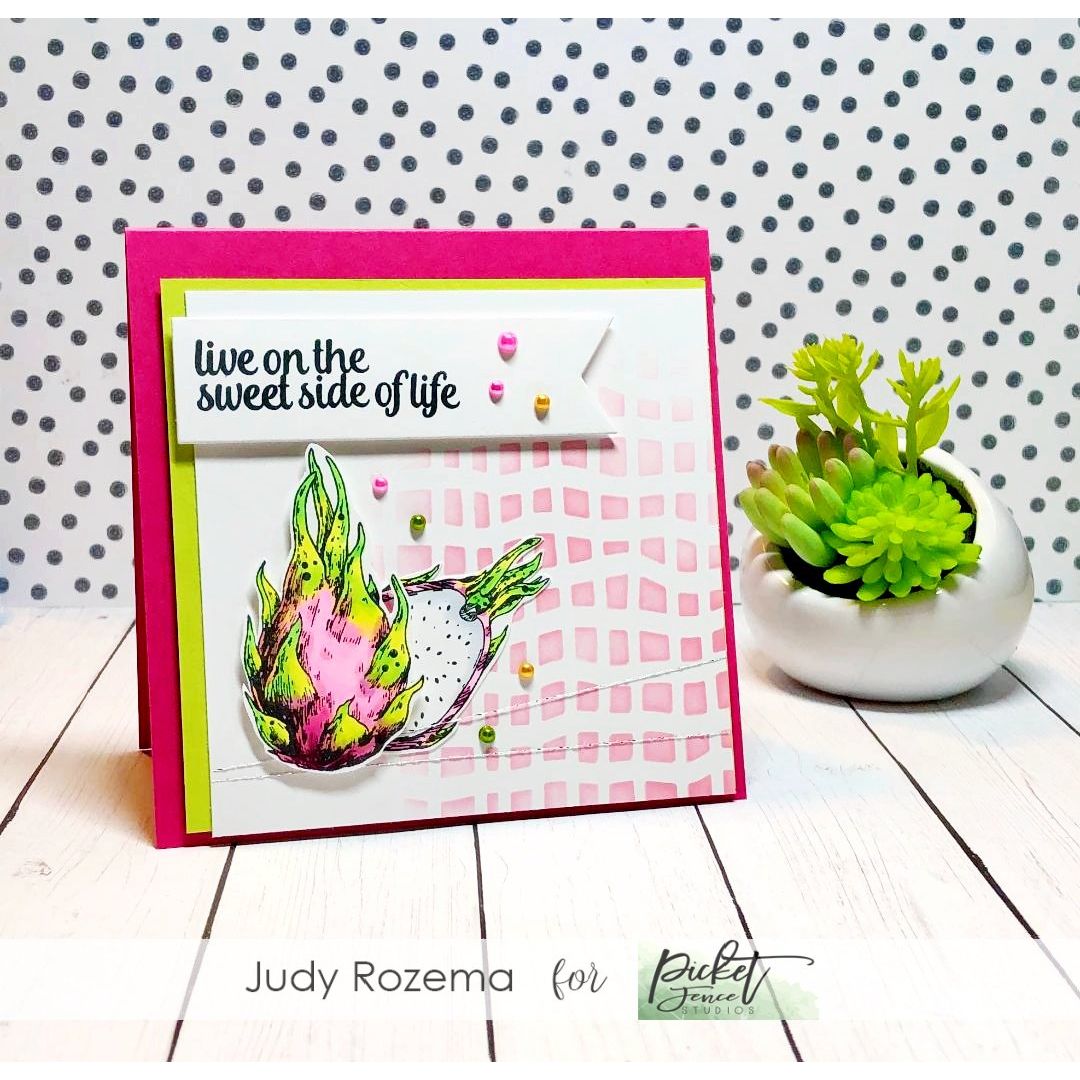 Dragon Fruit - Picket Fence Studios