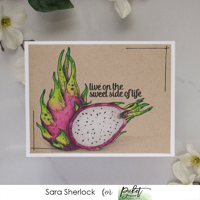 Dragon Fruit - Picket Fence Studios