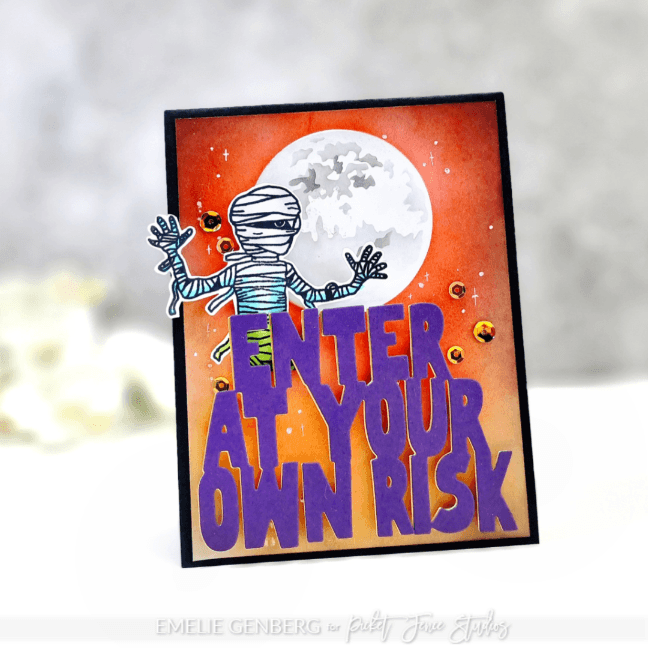 Enter at Your Own Risk Word Die - Picket Fence Studios