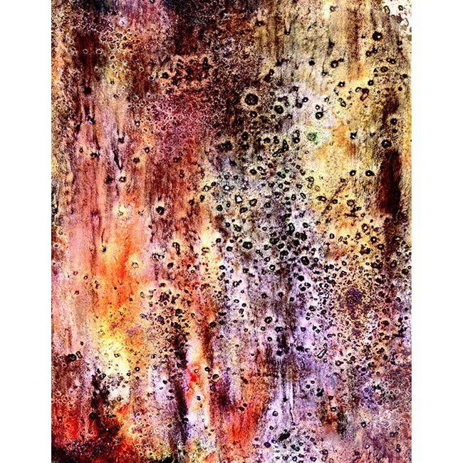 Fabulous Foiling Toner Card Stock - Toil and Trouble - Picket Fence Studios