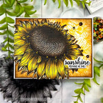 Golden Sunflower Flowerheads - Picket Fence Studios