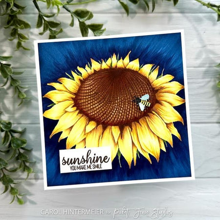 Golden Sunflower Flowerheads - Picket Fence Studios