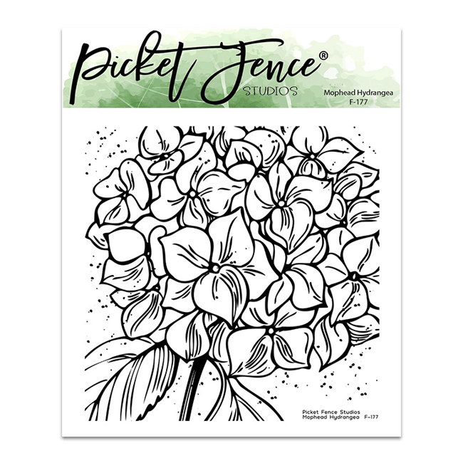 Mophead Hydrangea - Picket Fence Studios