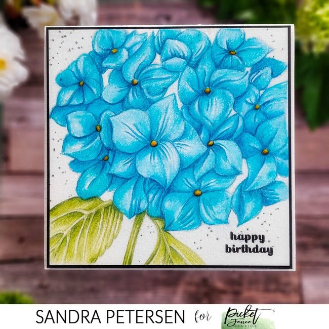 Mophead Hydrangea - Picket Fence Studios