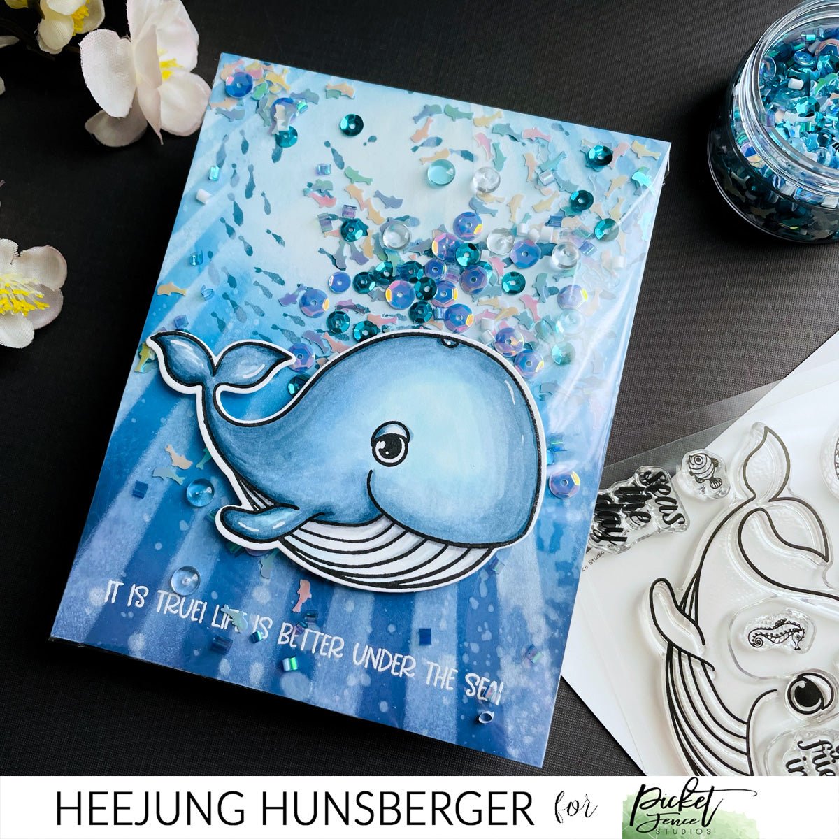 School of Fish - Picket Fence Studios